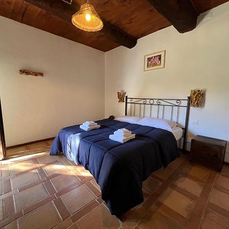 B&B Podere Legnotorto Castel del Piano  Zewnętrze zdjęcie