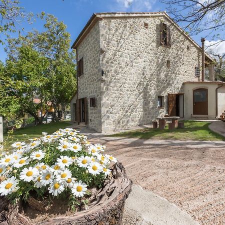 B&B Podere Legnotorto Castel del Piano  Zewnętrze zdjęcie