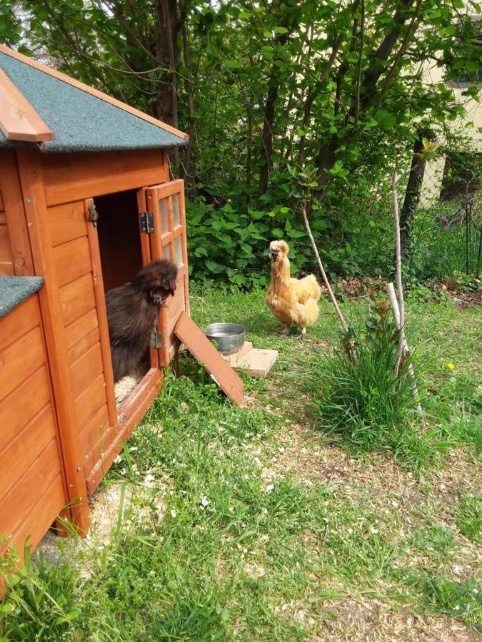 B&B Podere Legnotorto Castel del Piano  Zewnętrze zdjęcie