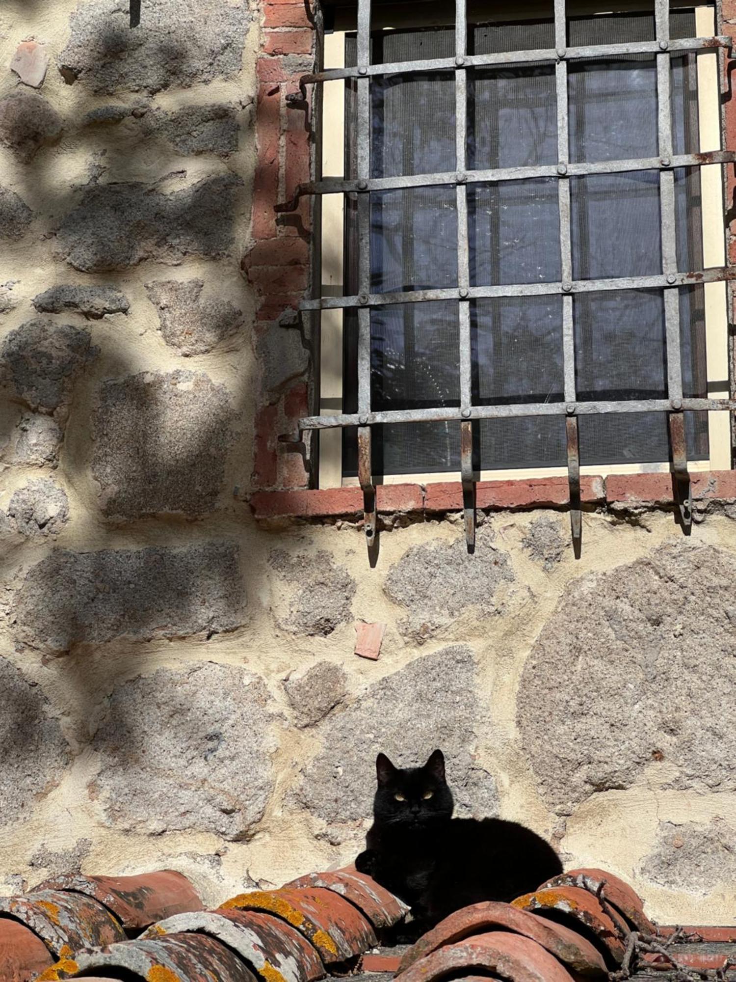 B&B Podere Legnotorto Castel del Piano  Zewnętrze zdjęcie