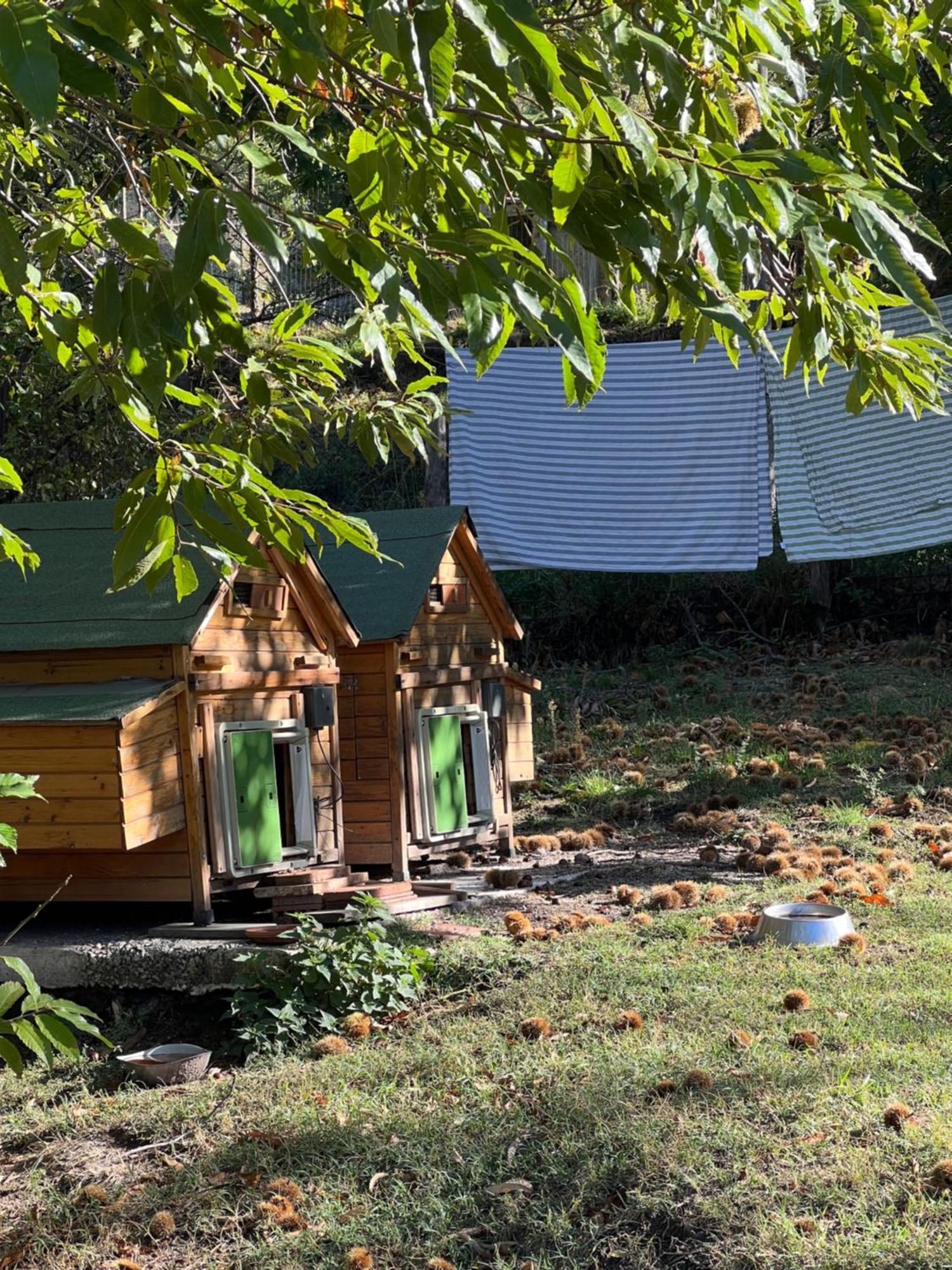 B&B Podere Legnotorto Castel del Piano  Zewnętrze zdjęcie